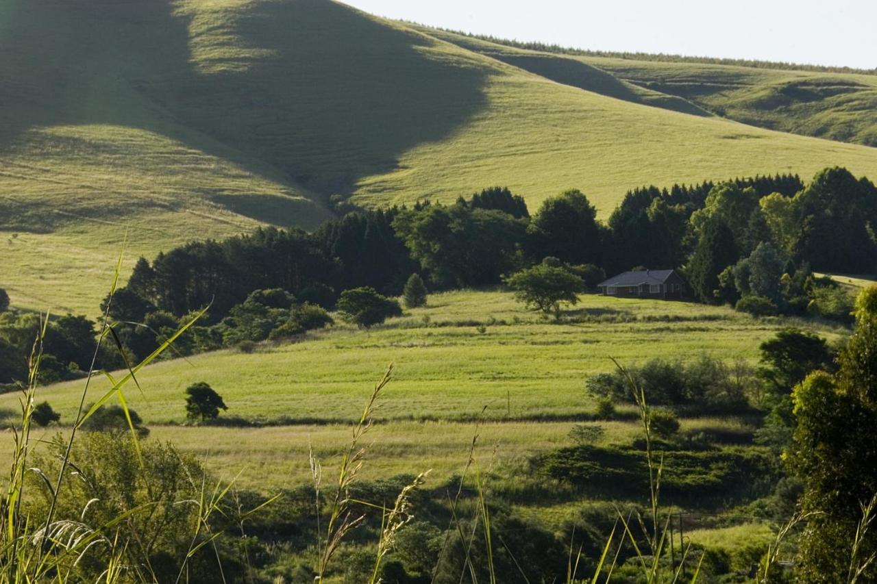 Lions River Country Cottages المظهر الخارجي الصورة