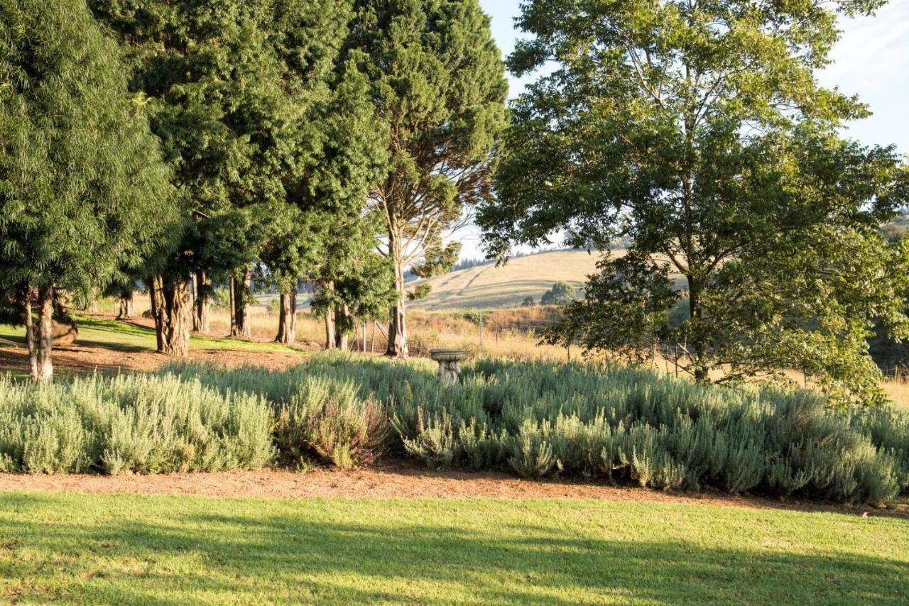 Lions River Country Cottages المظهر الخارجي الصورة